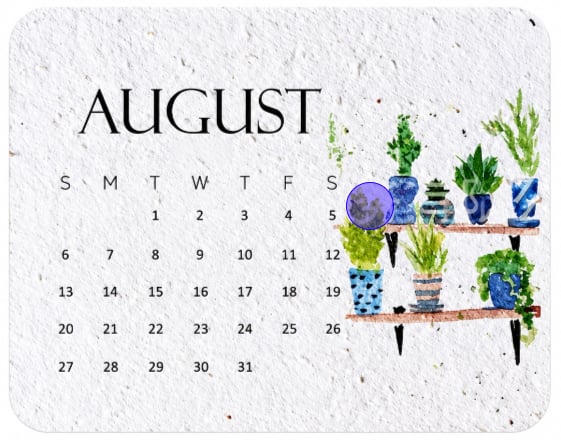 🌱 Don't Throw Away 2027 — Plant It & Watch It Bloom! 🌸