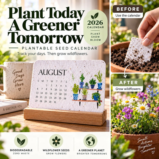 🌱 Don't Throw Away 2027 — Plant It & Watch It Bloom! 🌸