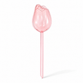 Decorative Bird Automatic Plant Watering Spike