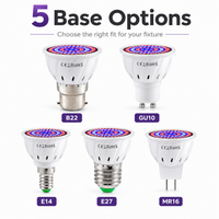 E27-48 Pearl Red + Blue LED (bare bulb)